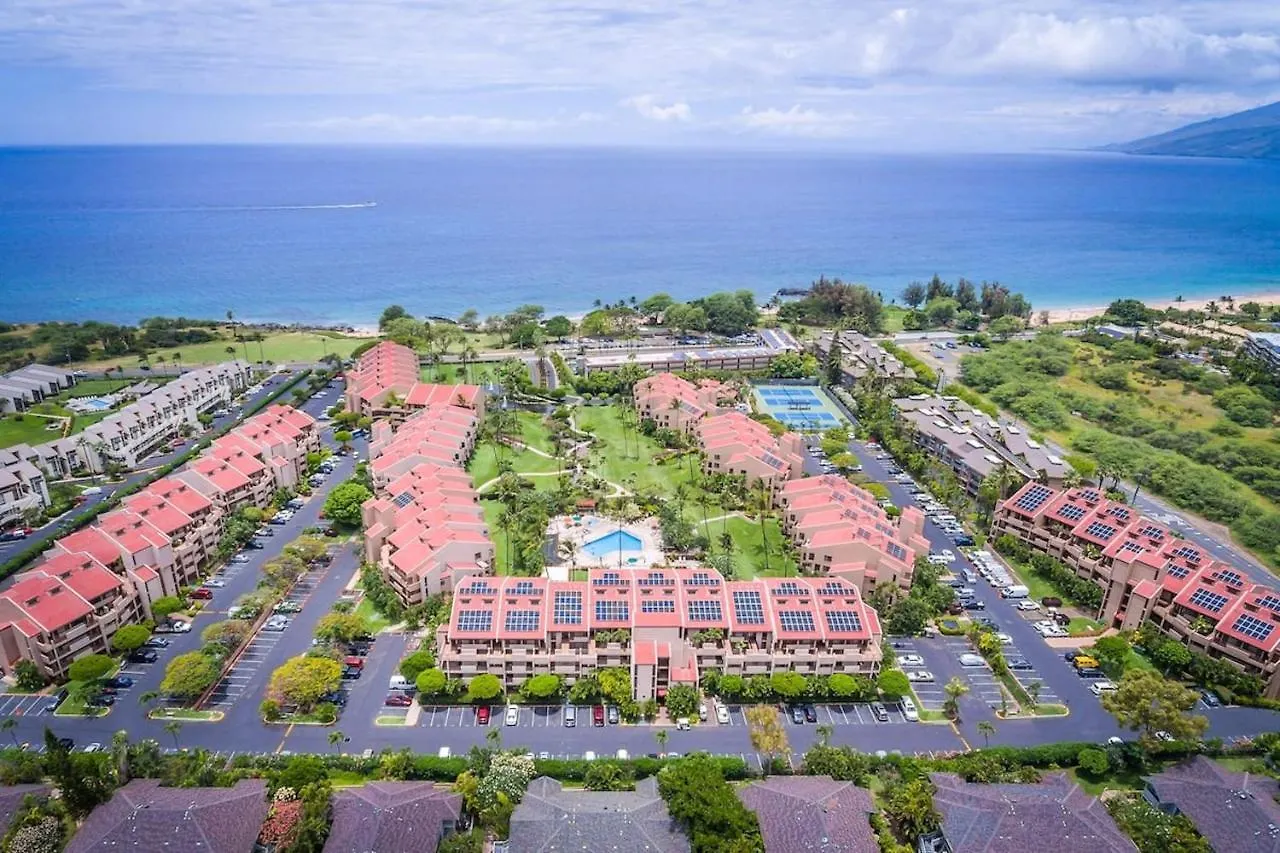 King Suite: Walk To Beach, Pool Wailea  Wailea (Maui)