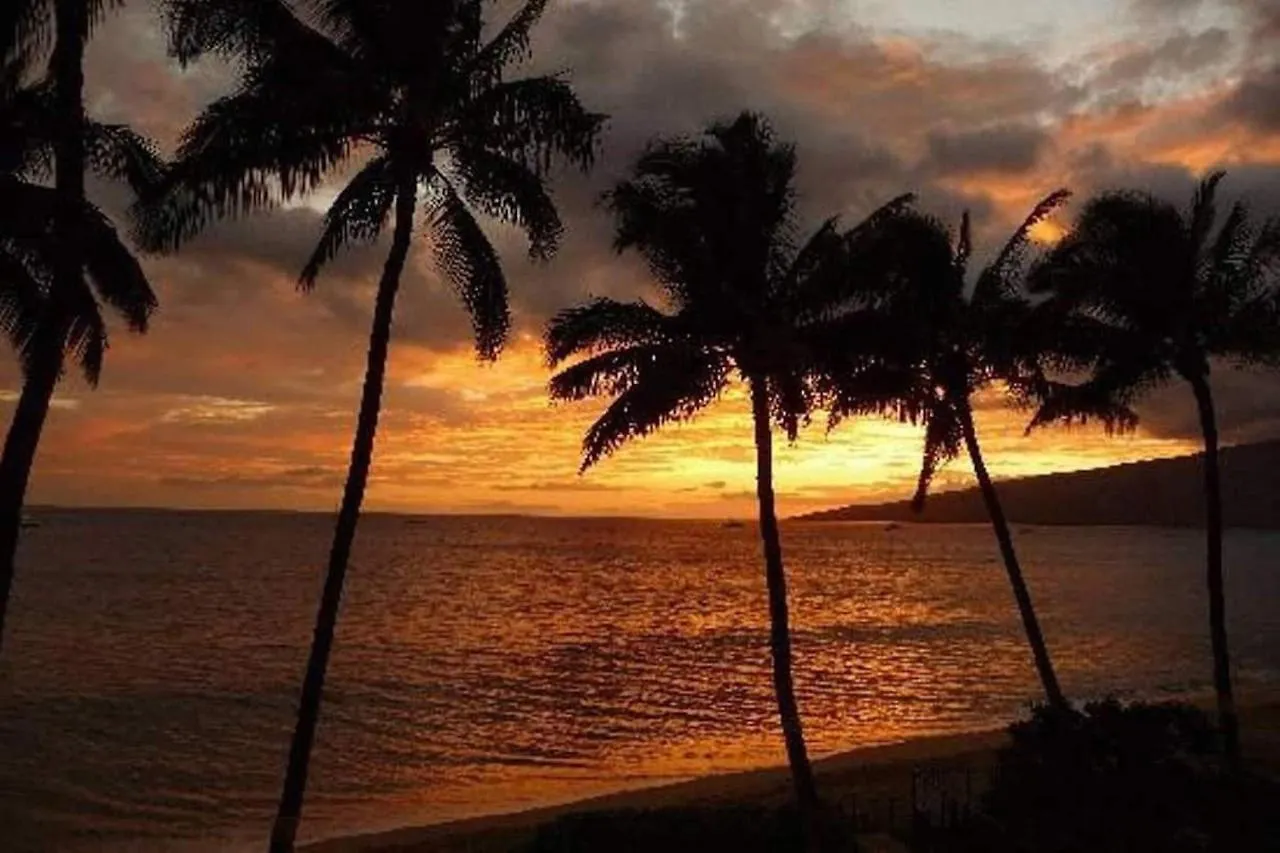 King Suite: Walk To Beach, Pool Wailea  0*, Wailea (Maui) United States